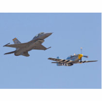 Heritage Flight P 51 Mustang And F 17 photo sculptures