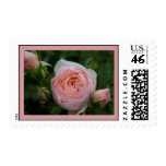 Heritage Stamp