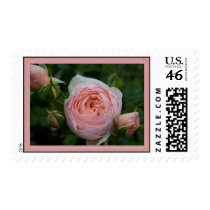 Heritage Stamp