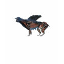 hermafrodita mythological best t-shirts