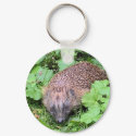 Herman Hedgehog keychains by Jeeee11 Herman Hedgehog keychains