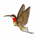 Herman Hummingbird Photo Sculpture