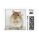 Herman the Gerbil Postage Stamps by twinsqueaks Herman the Gerbil Postage Stamps