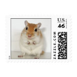 Herman the Gerbil Postage Stamps