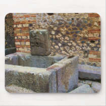 Hermes Fountain, Pompeii mousepads by gothicarts Hermes Fountain, Pompeii mousepads