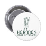 Hermes Pins