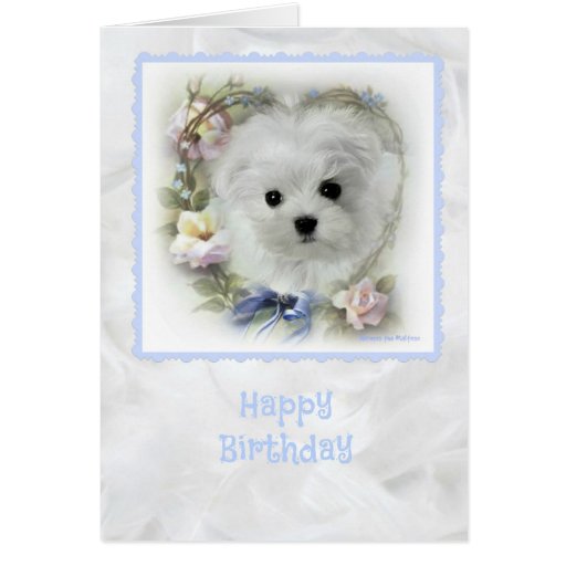 Hermes the Maltese Birthday Card | Zazzle