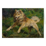 Hermine Biedermann-Arendts Collie Greeting Cards