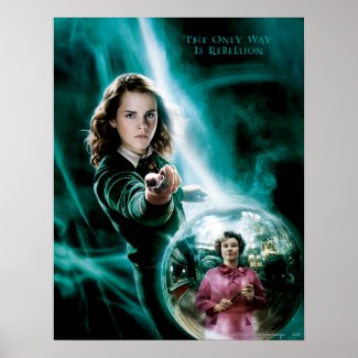 Hermione Granger and Professor Umbridge print
