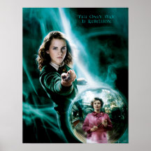 Hermione Granger and Professor Umbridge Posters