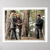 Hermione, Ron, and Harry 2 Print
