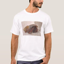 Hermit Crab #10 t-shirts by nannyogg Hermit Crab #10 t-shirts