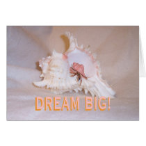 Hermit Crab #11 cards