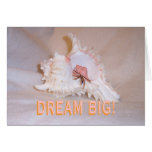 Hermit Crab #11 Cards