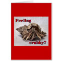 Hermit Crab #13 cards