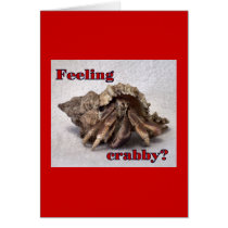 Hermit Crab #13 cards