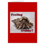 Hermit Crab #13 Cards