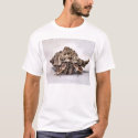 Hermit crab #1 t-shirts