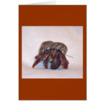 Hermit Crab #2 Greeting Card