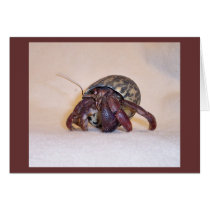 Hermit Crab #3 cards by nannyogg Hermit Crab #3 cards