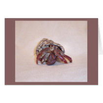 Hermit Crab #5 cards by nannyogg Hermit Crab #5 cards