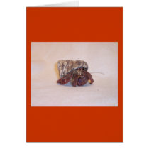 Hermit Crab #6 cards