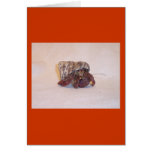 Hermit Crab #6 Greeting Cards