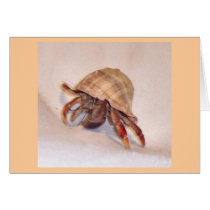 Hermit Crab #7 cards