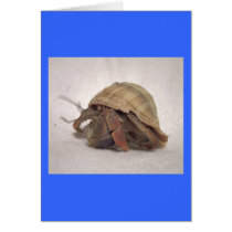 Hermit Crab #8 cards