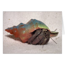 Hermit Crab #9 cards by nannyogg Hermit Crab #9 cards