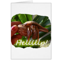 Hermit Crab and Help text , funny animal design Cards