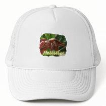 Hermit Crab and Help text , funny animal design Mesh Hat