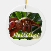 Hermit Crab and Help text , funny animal design Ornament