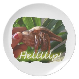 Hermit Crab and Help text , funny animal design