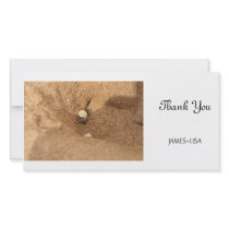 Hermit crab and sands