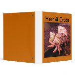 Hermit Crab Avery Binder