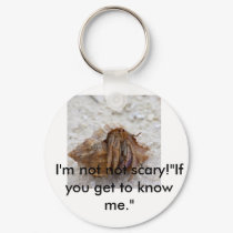 hermit-crab-care, I'm not not scary!"If you get... keychains