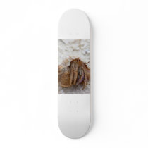 hermit-crab-care skateboards