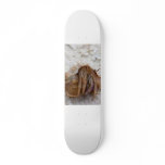 hermit-crab-care skate deck