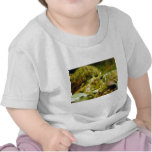 Hermit Crab Couple T Shirts