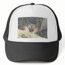 Hermit Crab Mesh Hats