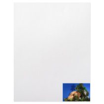 Hermit Crab in Tree blue background Personalized Letterhead