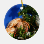 Hermit Crab in Tree blue background Christmas Ornament