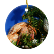 Hermit Crab in Tree blue background Christmas Ornament