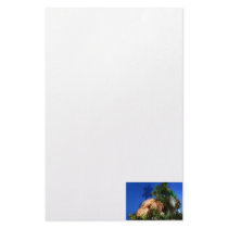 Hermit Crab in Tree blue background Stationery Design