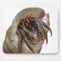 hermit crab mousepads