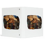 Hermit Crab on Ice Cubes binders