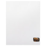 Hermit Crab on Ice Cubes Customized Letterhead