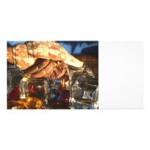 Hermit Crab on Ice Cubes Photo Greeting Card