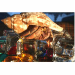 Hermit Crab on Ice Cubes Photo Cut Out